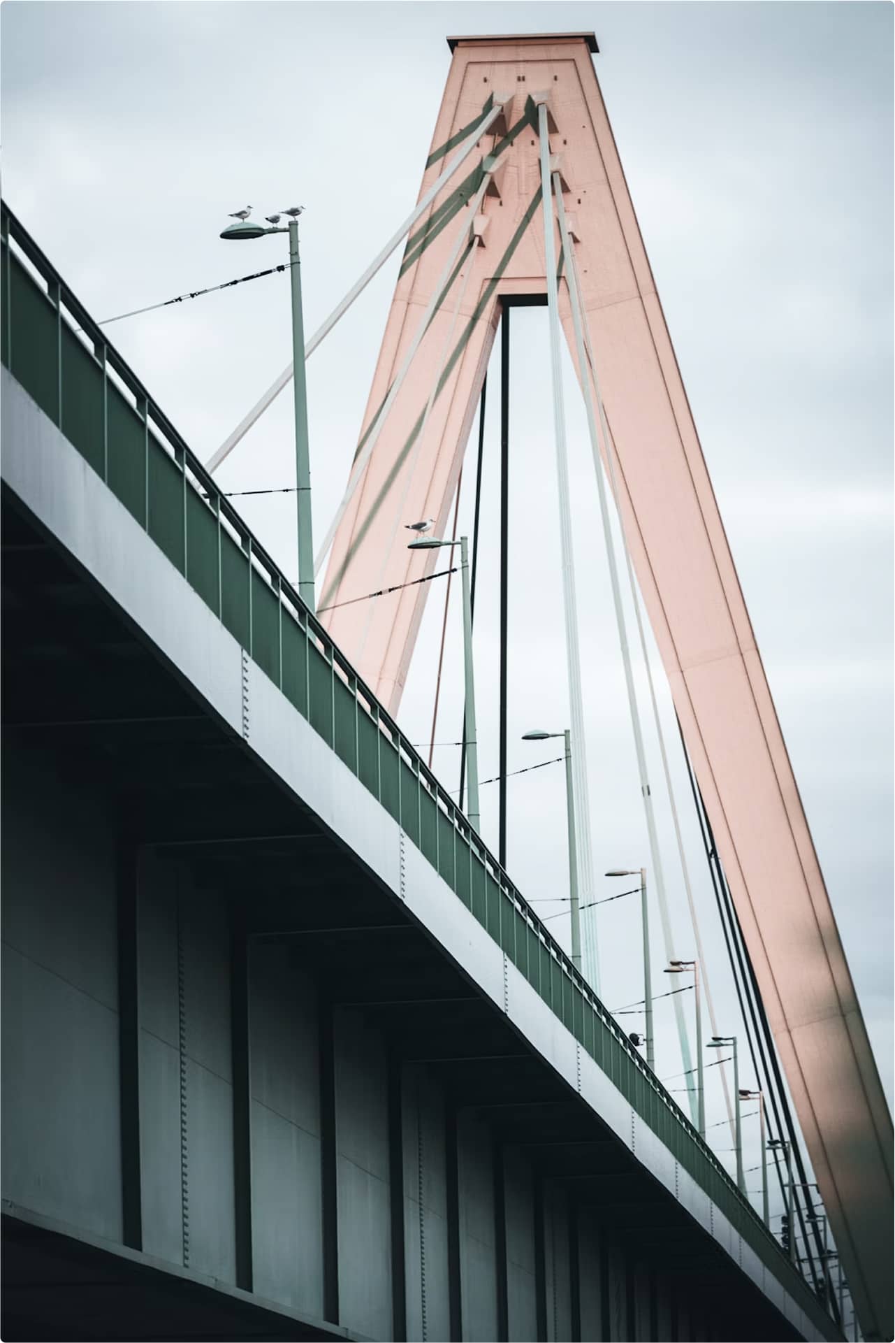 Severinsbruecke in Koeln